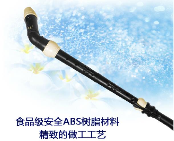 Professional 8 Holes Baroque B - đánh giá và giá Recorder Baroque Style