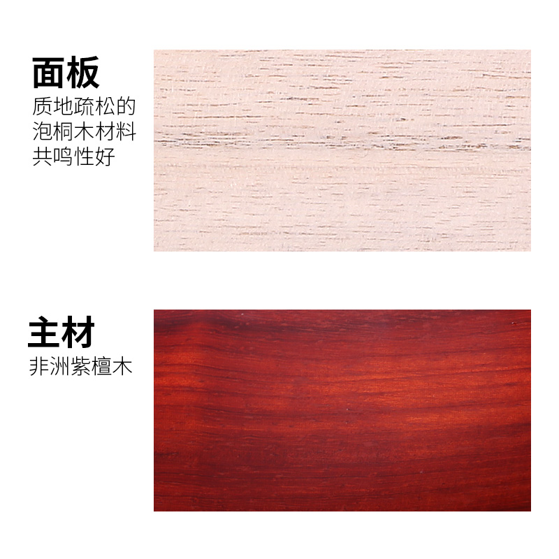 Dunhuang Brand Zhongruan 666ZY - đánh giá và giá Musical Instrument Brands
