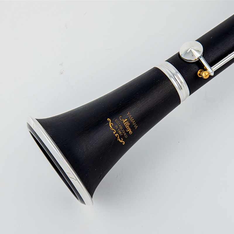 Japan Brand New Professional W - đánh giá và giá Musical Instrument Brands