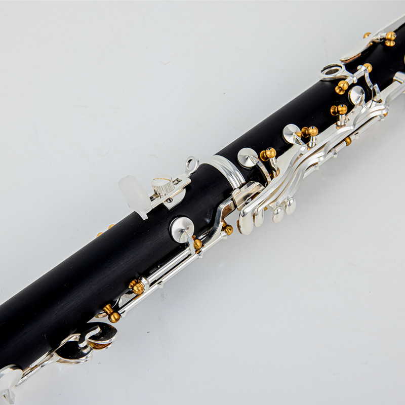 Japan Brand New Professional W - đánh giá và giá Musical Instrument Brands