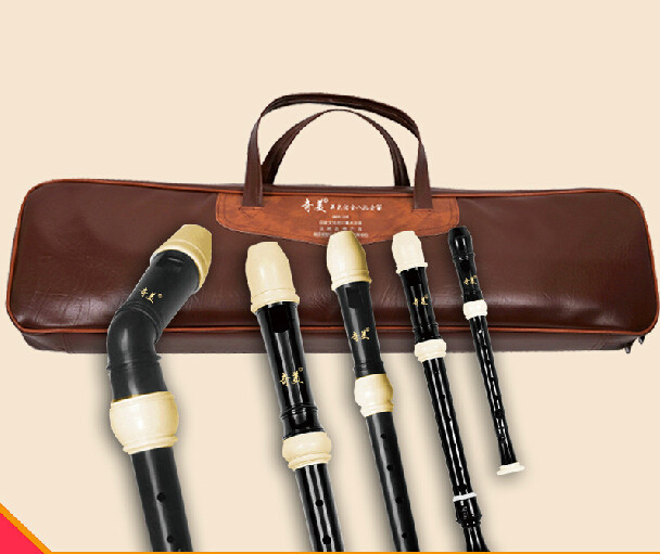 Full Set ABS Resin Recorder Fl - đánh giá và giá Recorder Baroque Style